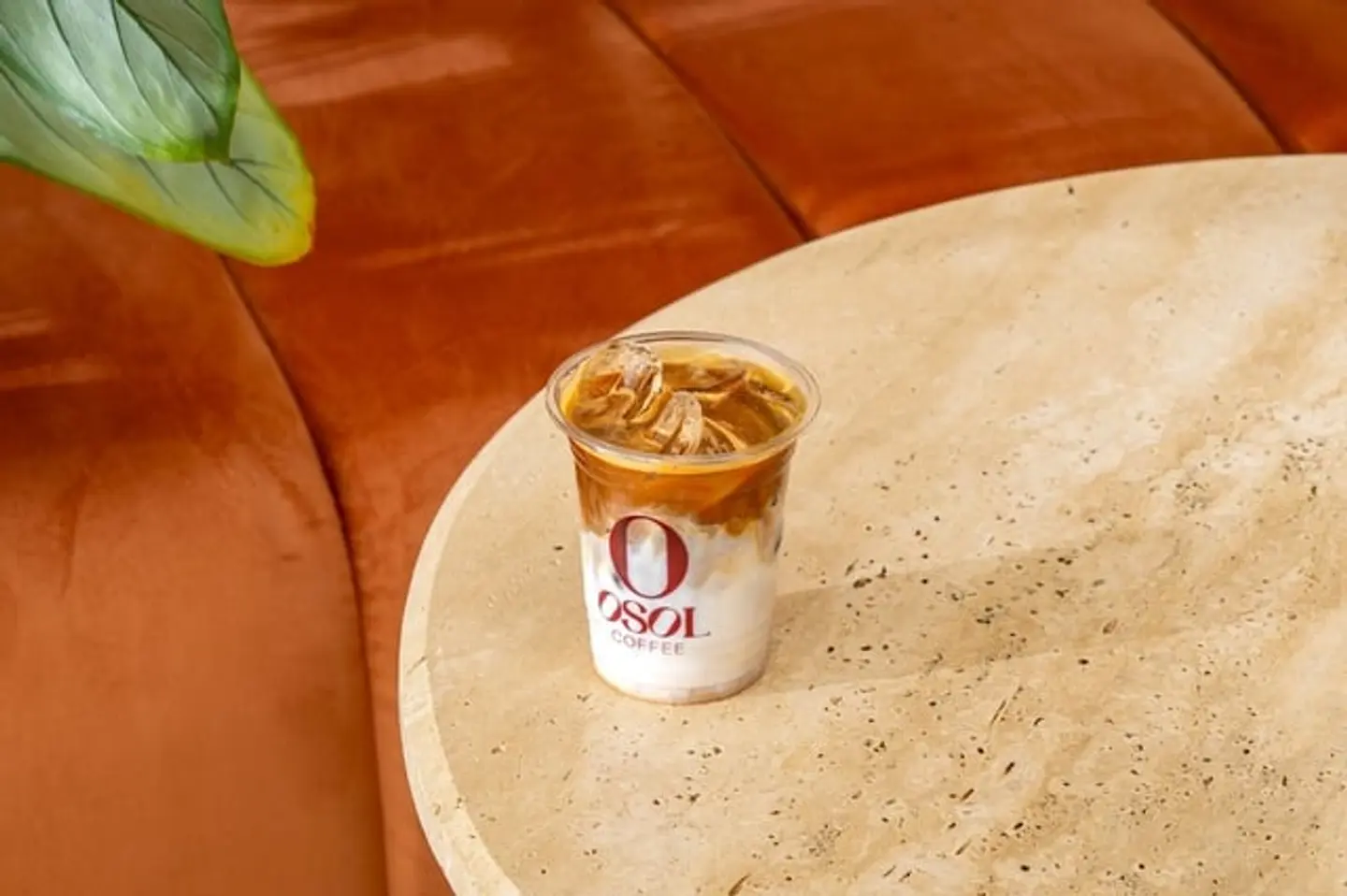 سبانش لاتيه بارد