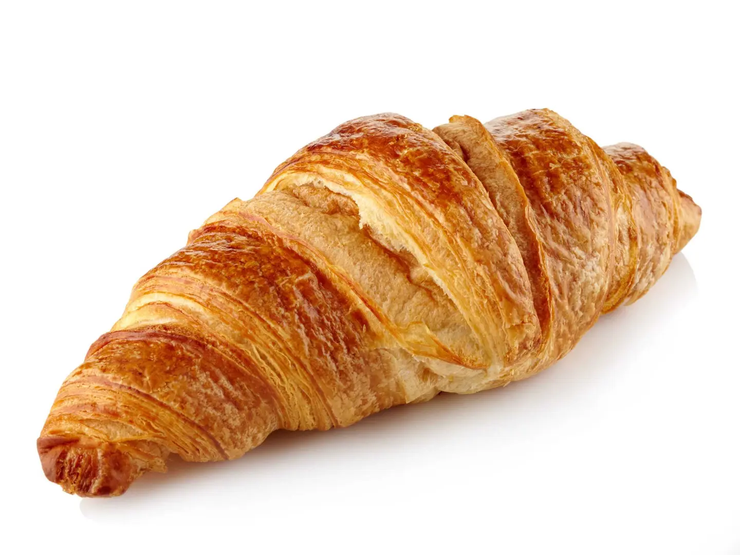 White Cheese Croissant