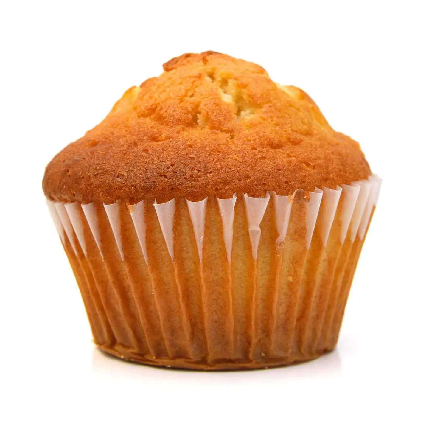 Muffin Cake Vanilla