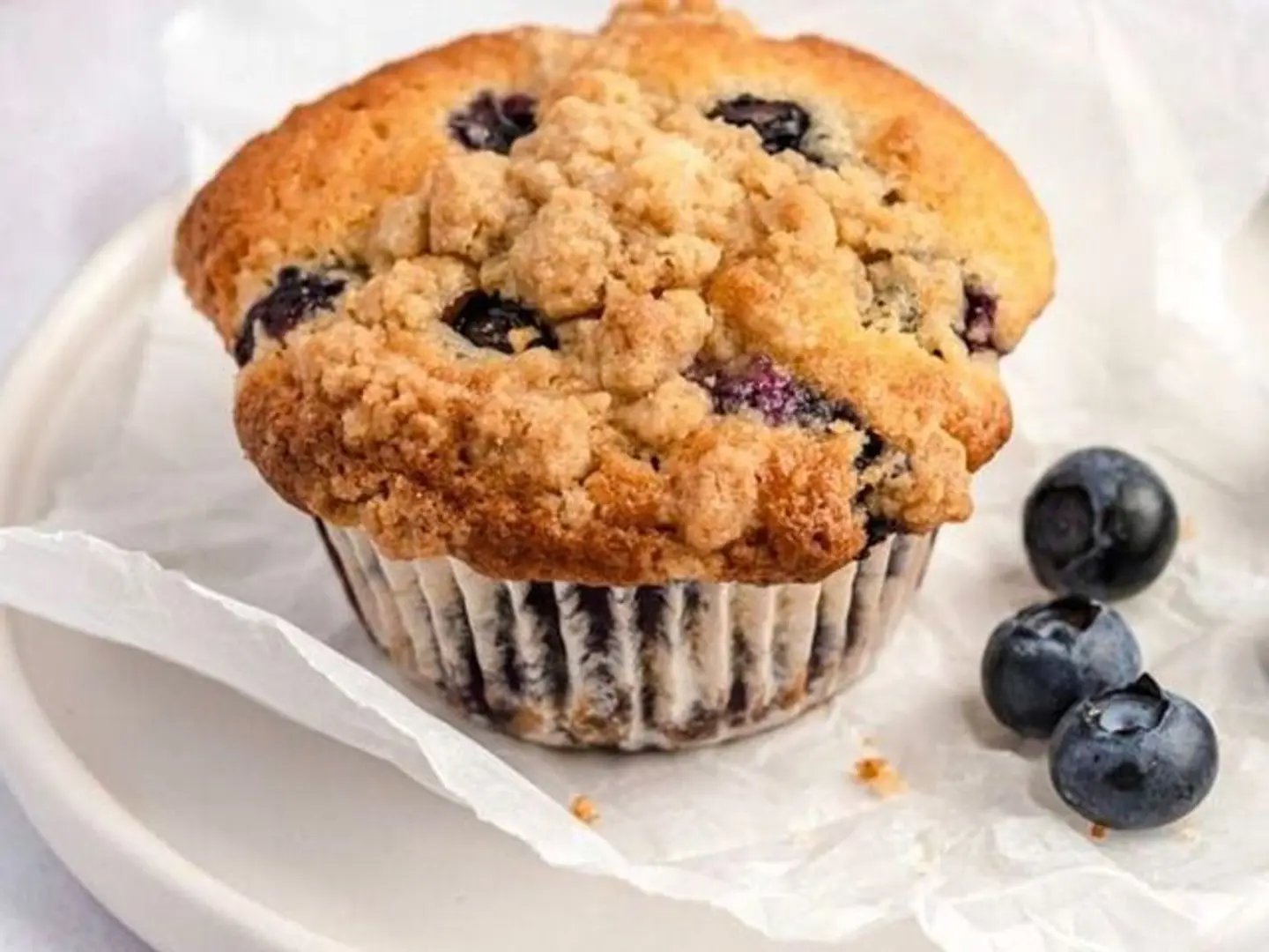 كيك الليمون بالتوت البري