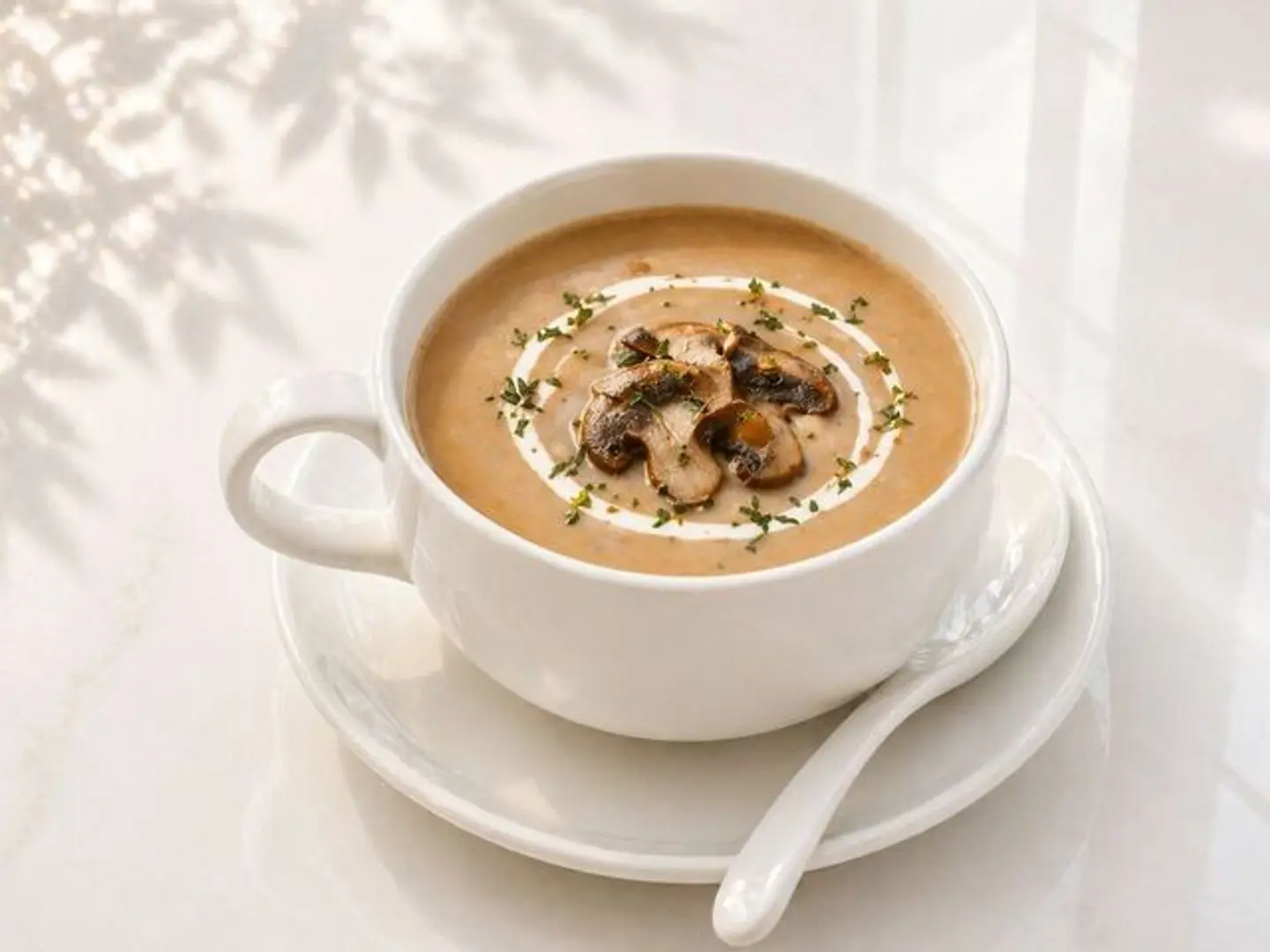 شوربة الفطر البري