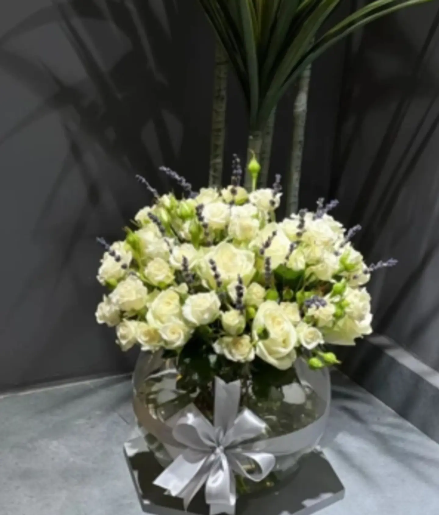 فازا العافيه