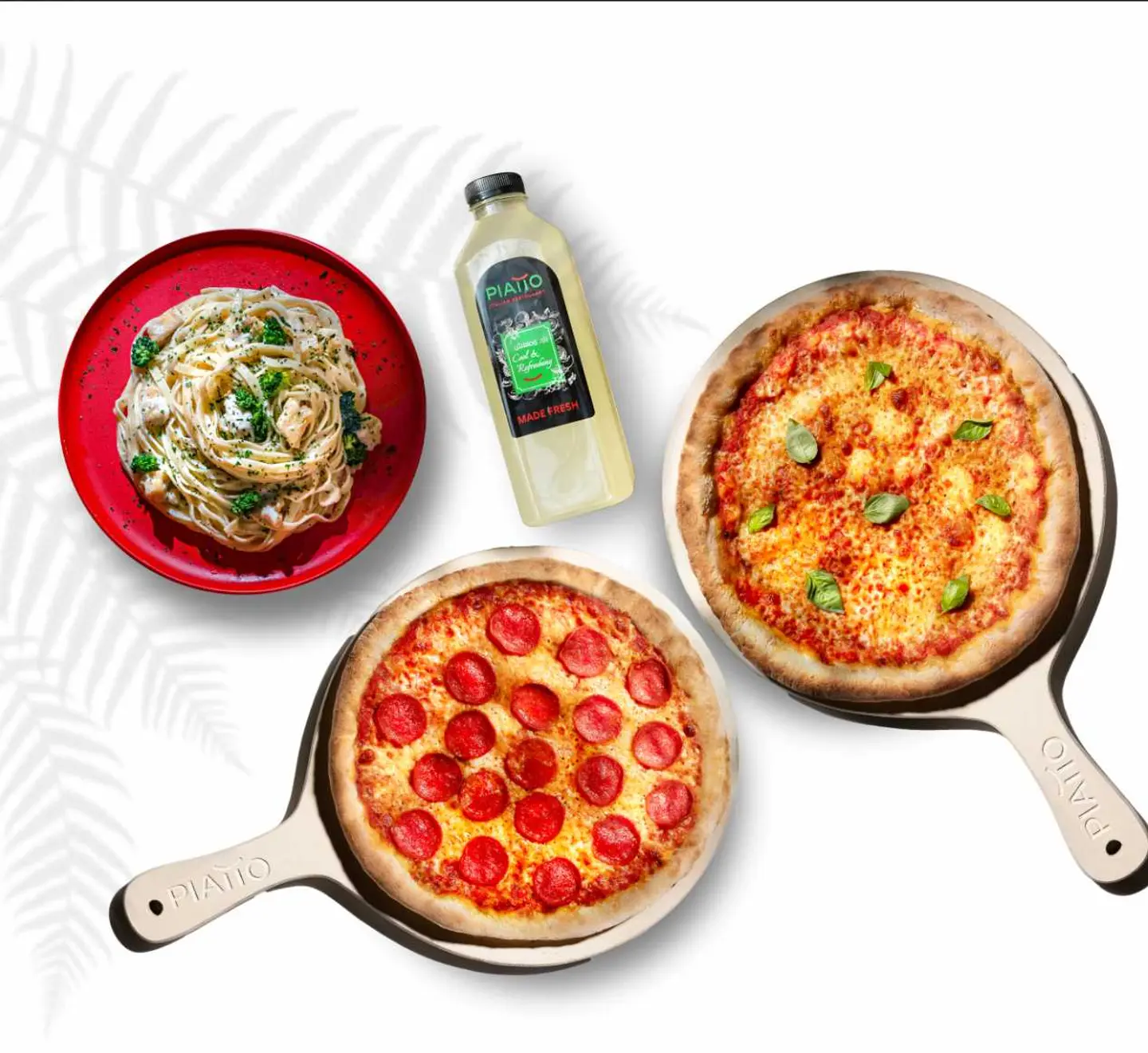 Piatto Family Gathering