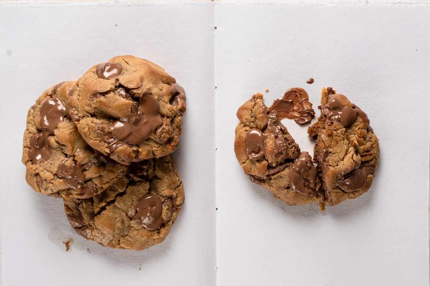 Chocolate Cookie