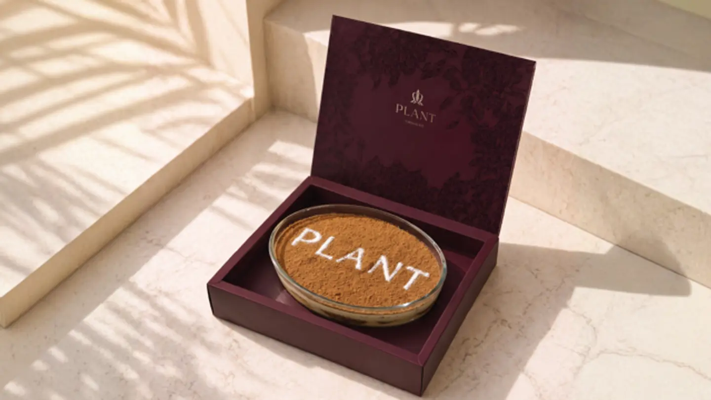 Plant Latte Tray