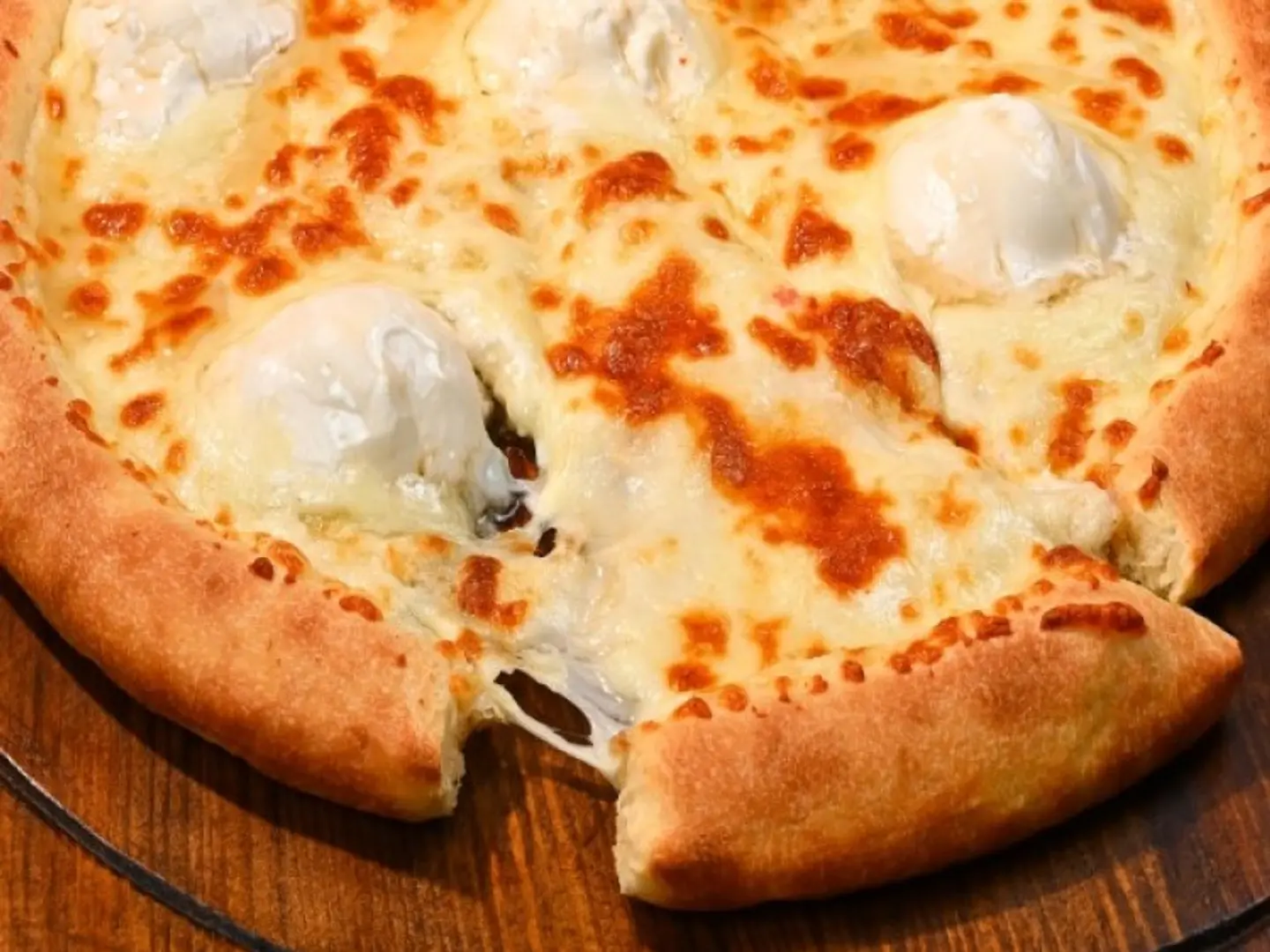 بيتزا عش البلبل