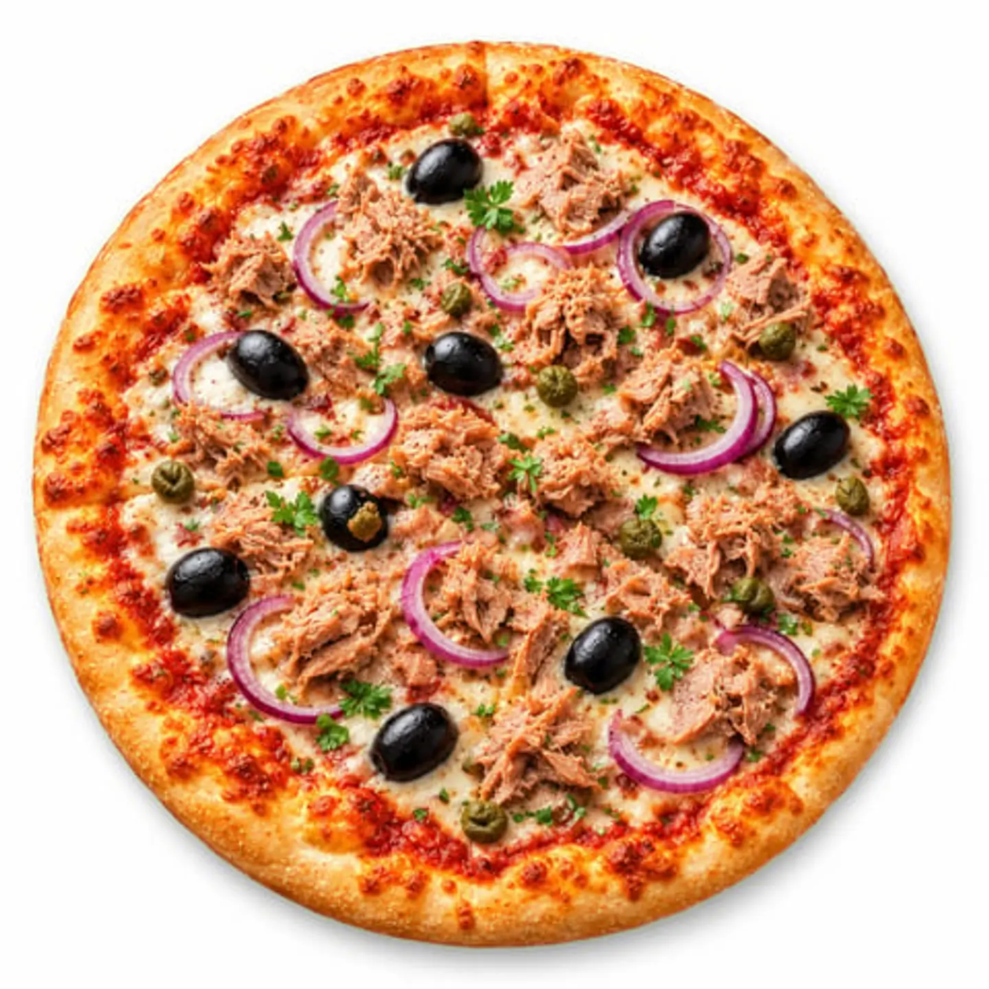 Large Tuna Pizza