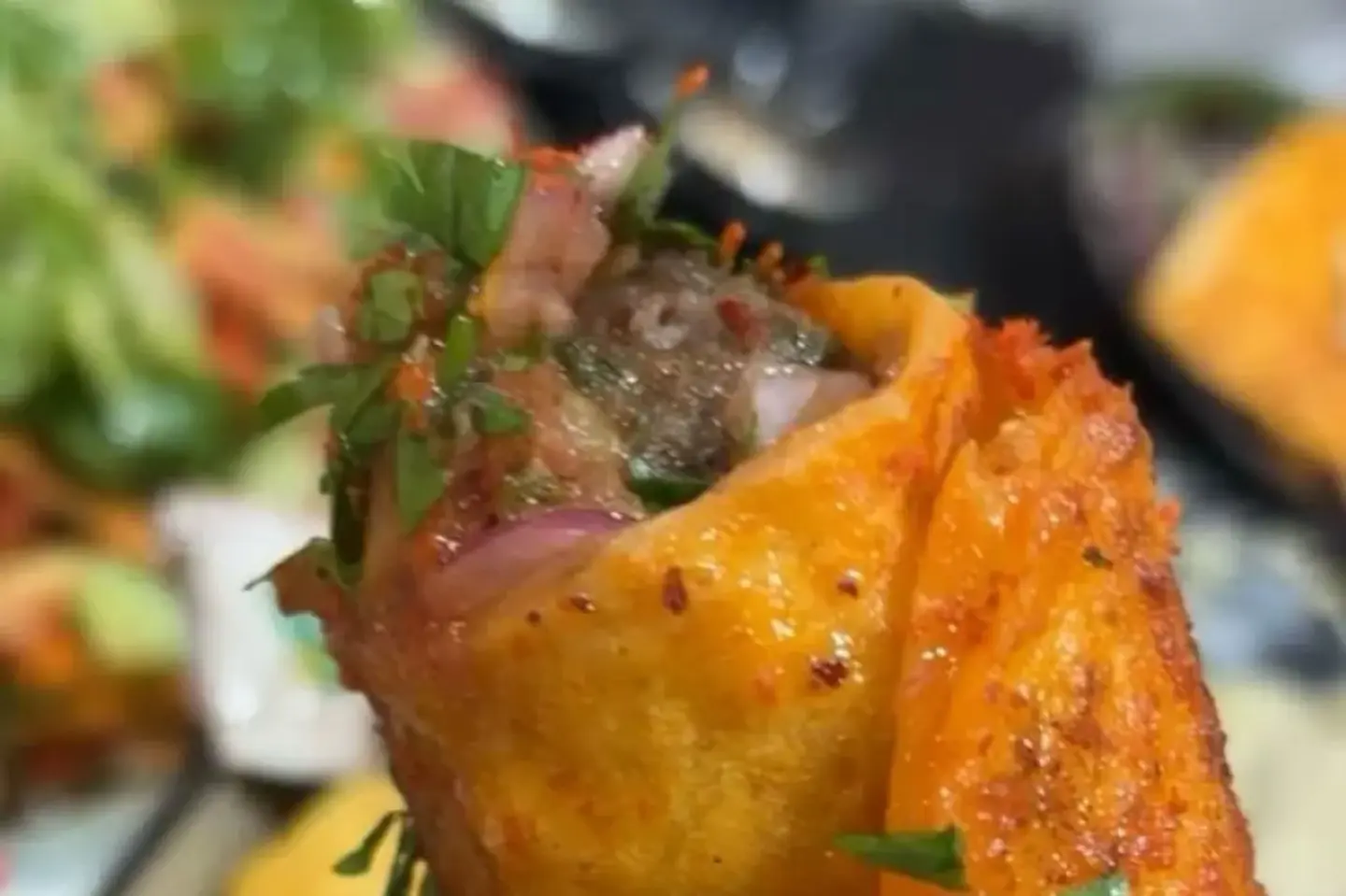 Turkish Kebab Sandwich