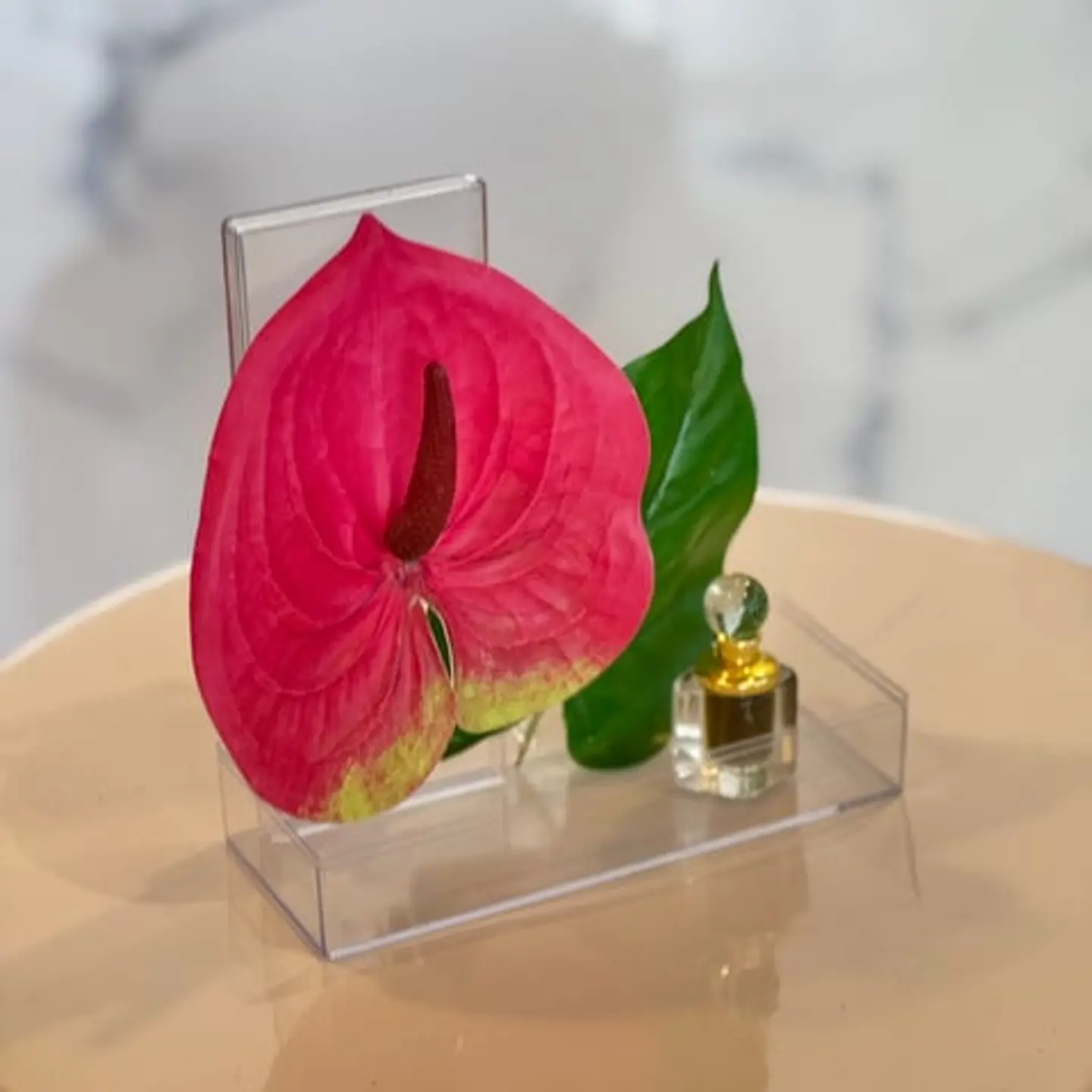 Anthurium Gift Oud