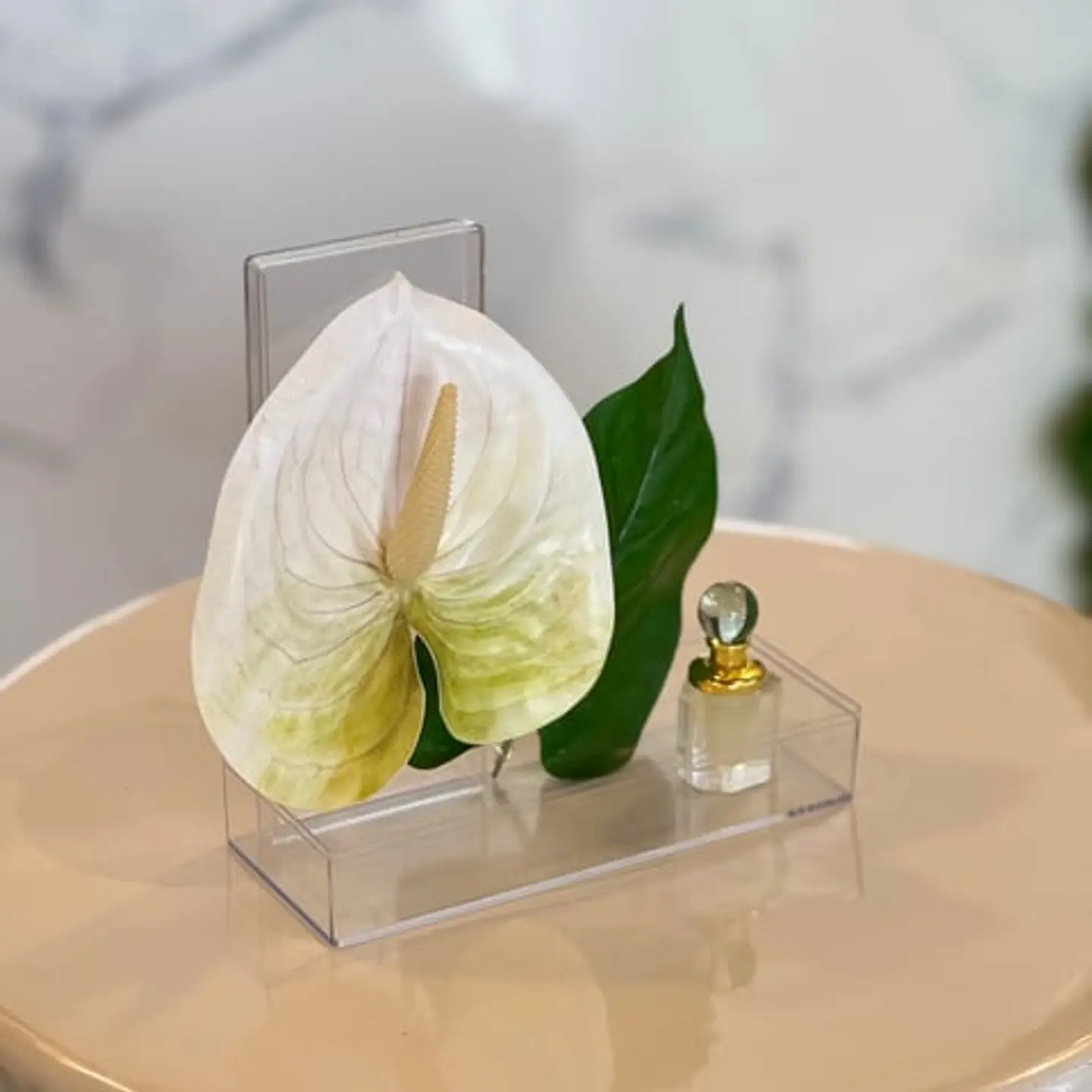 Anthurium Gift Misk