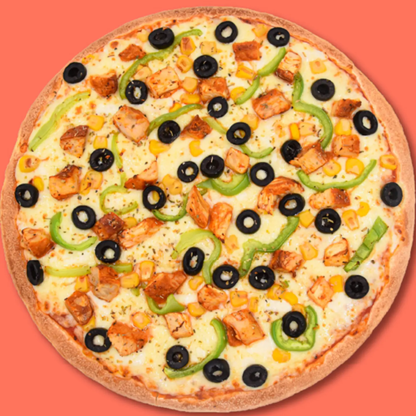 Chicken Fajita Medium