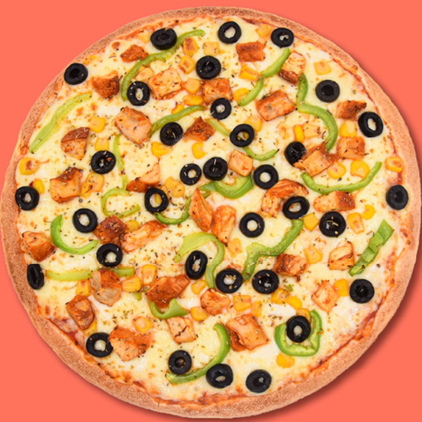 Chicken Fajita Medium