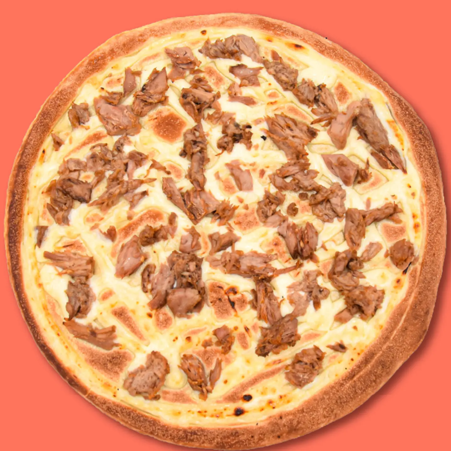White Tuna Medium