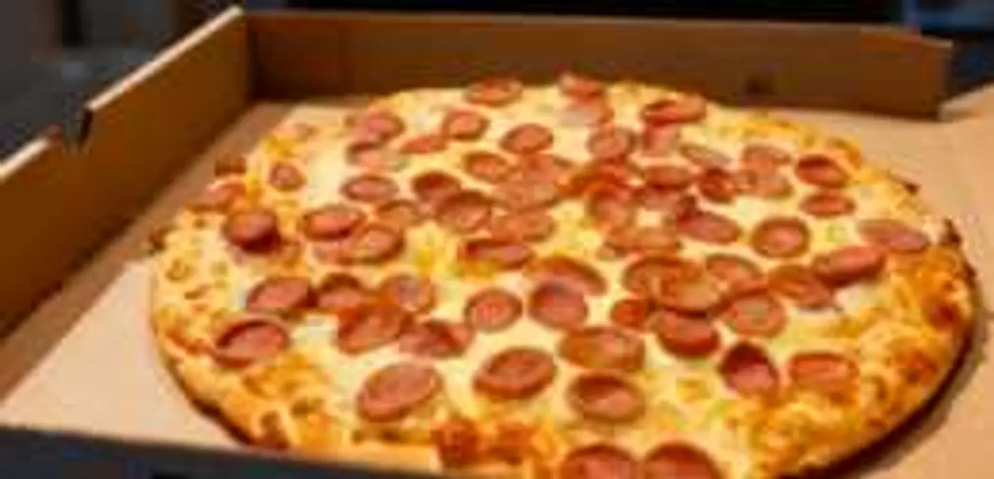 Plain Sausage Pizza L