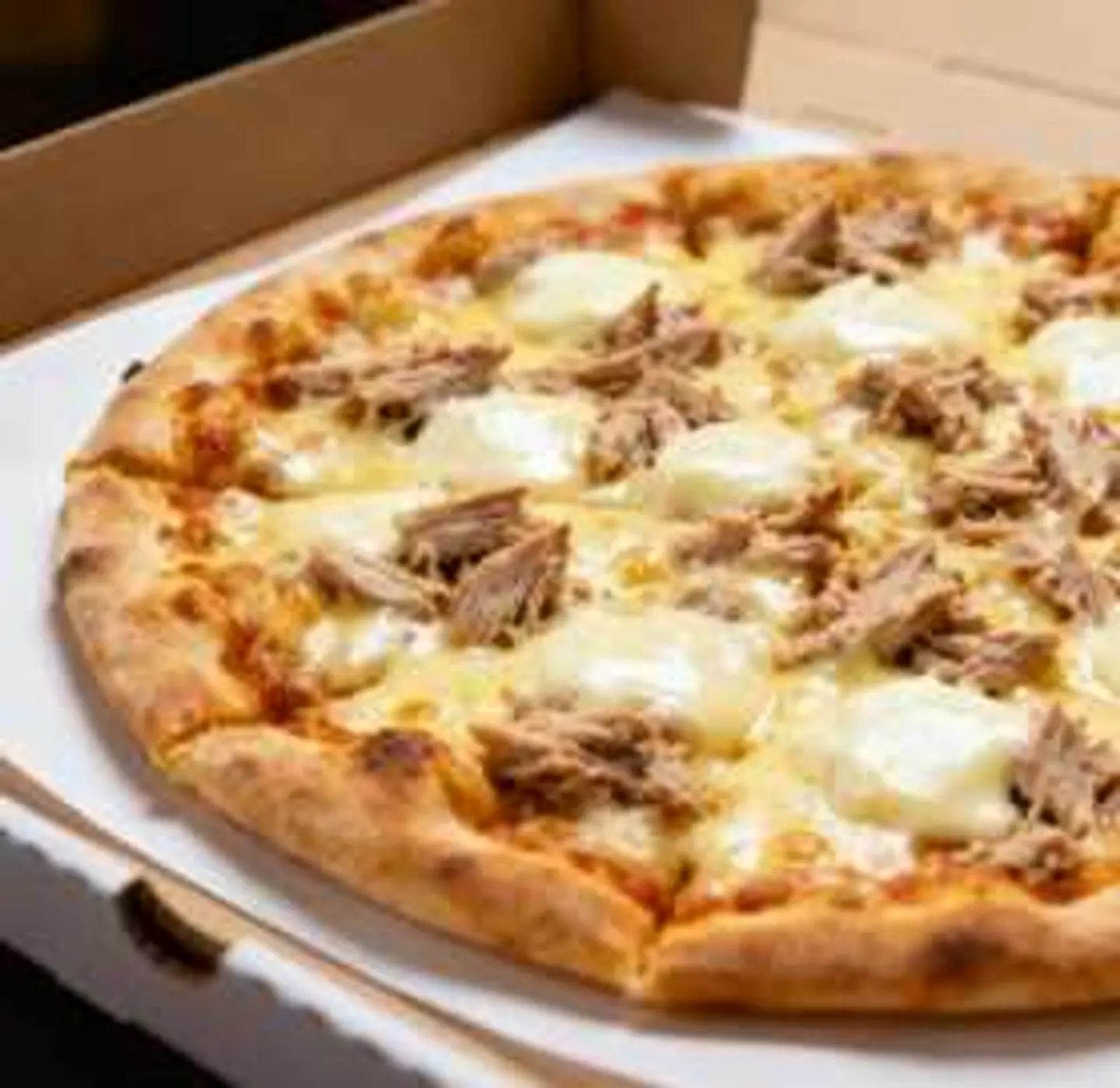 Plain Tuna Pizza L