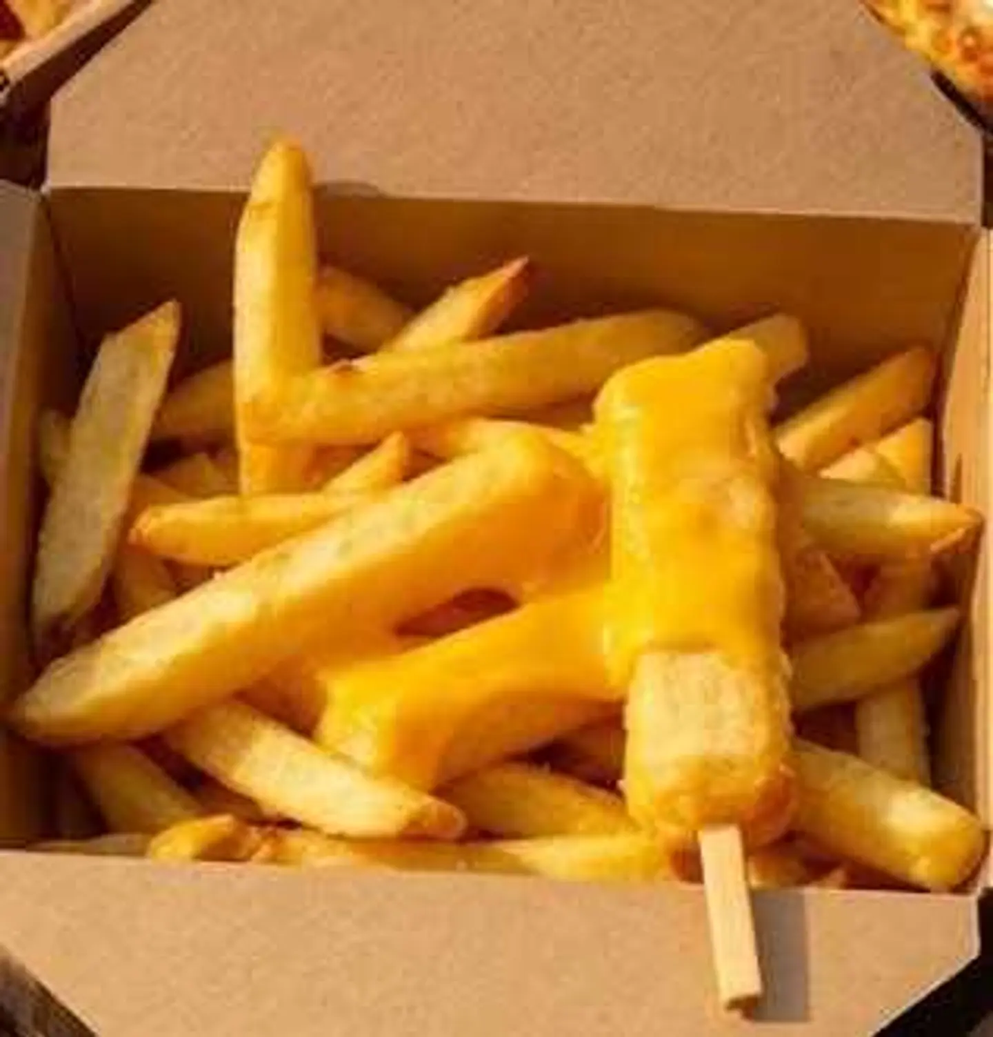 Large Cheese Fries