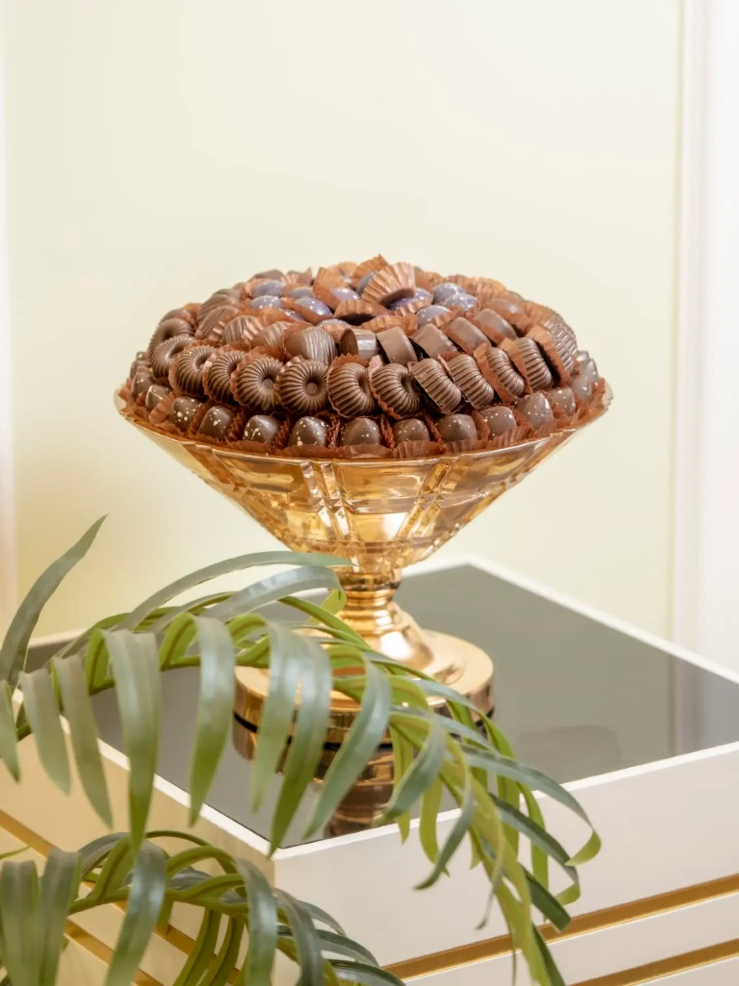 فازات شوكولا 123