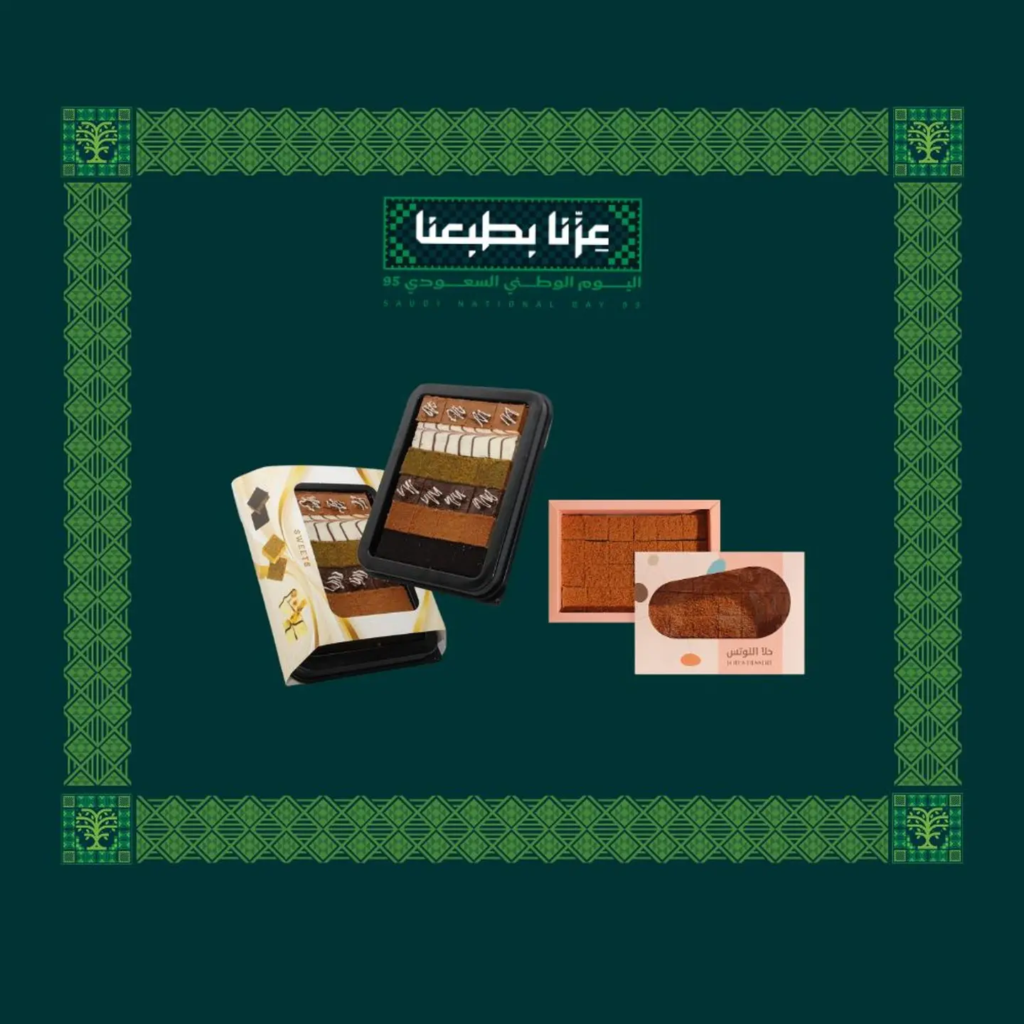 عرض اليوم الوطني 13