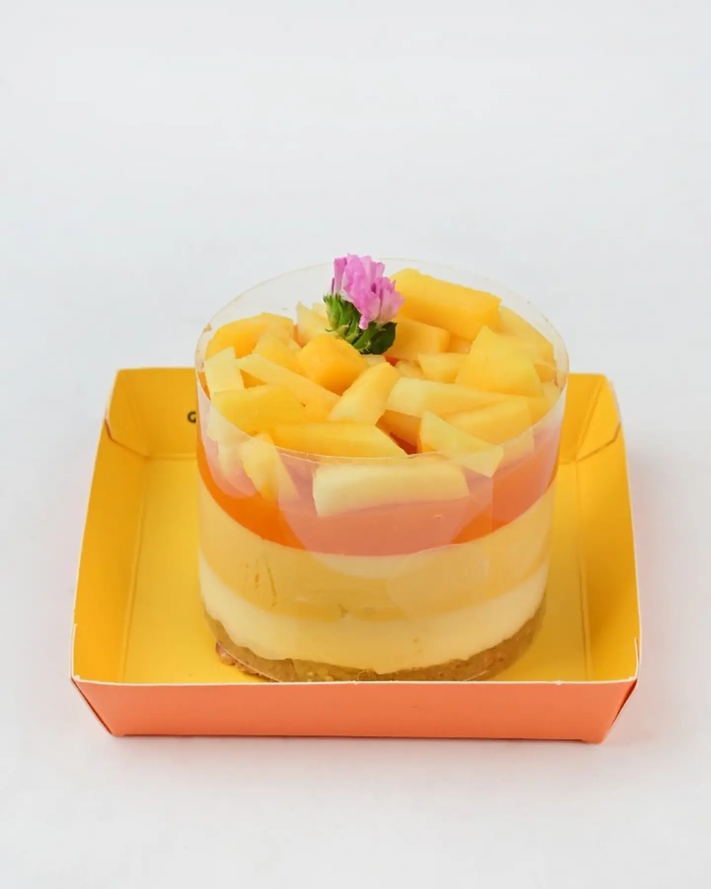 Mango Cheesecake Slice 6475