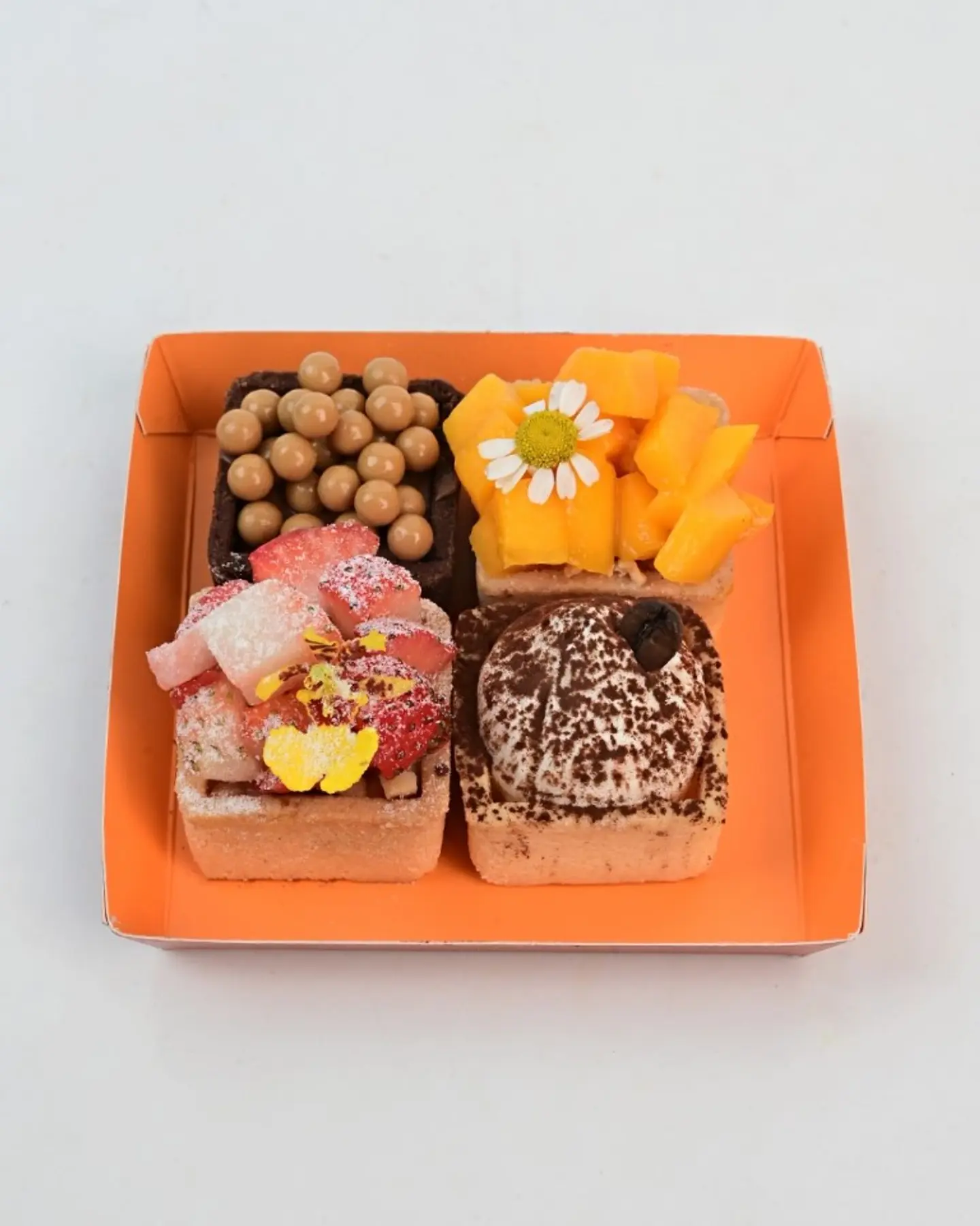 Vip Soiree Tart 5565