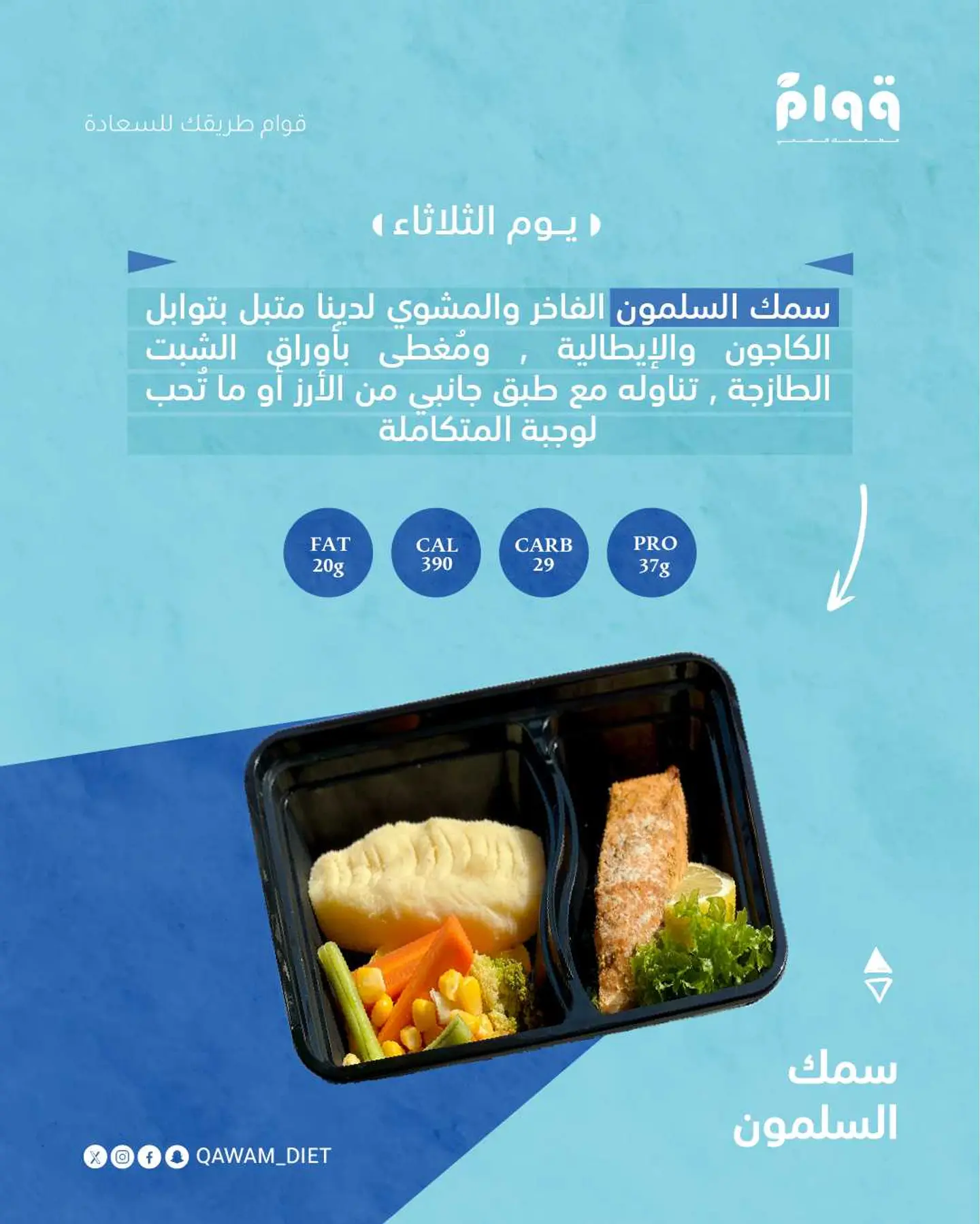 سالمون