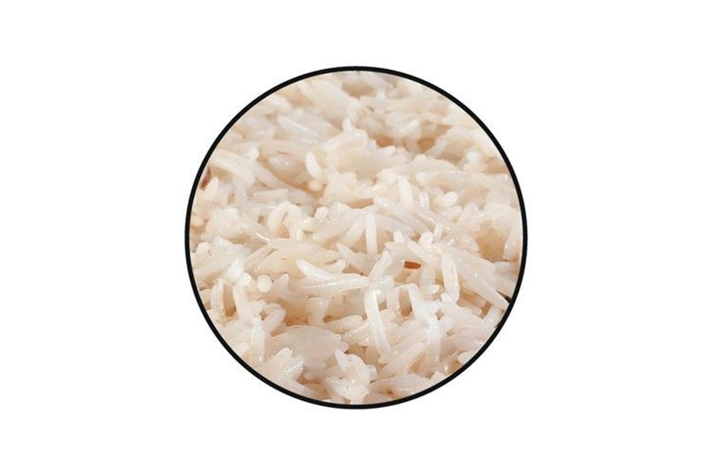 رز شعبي