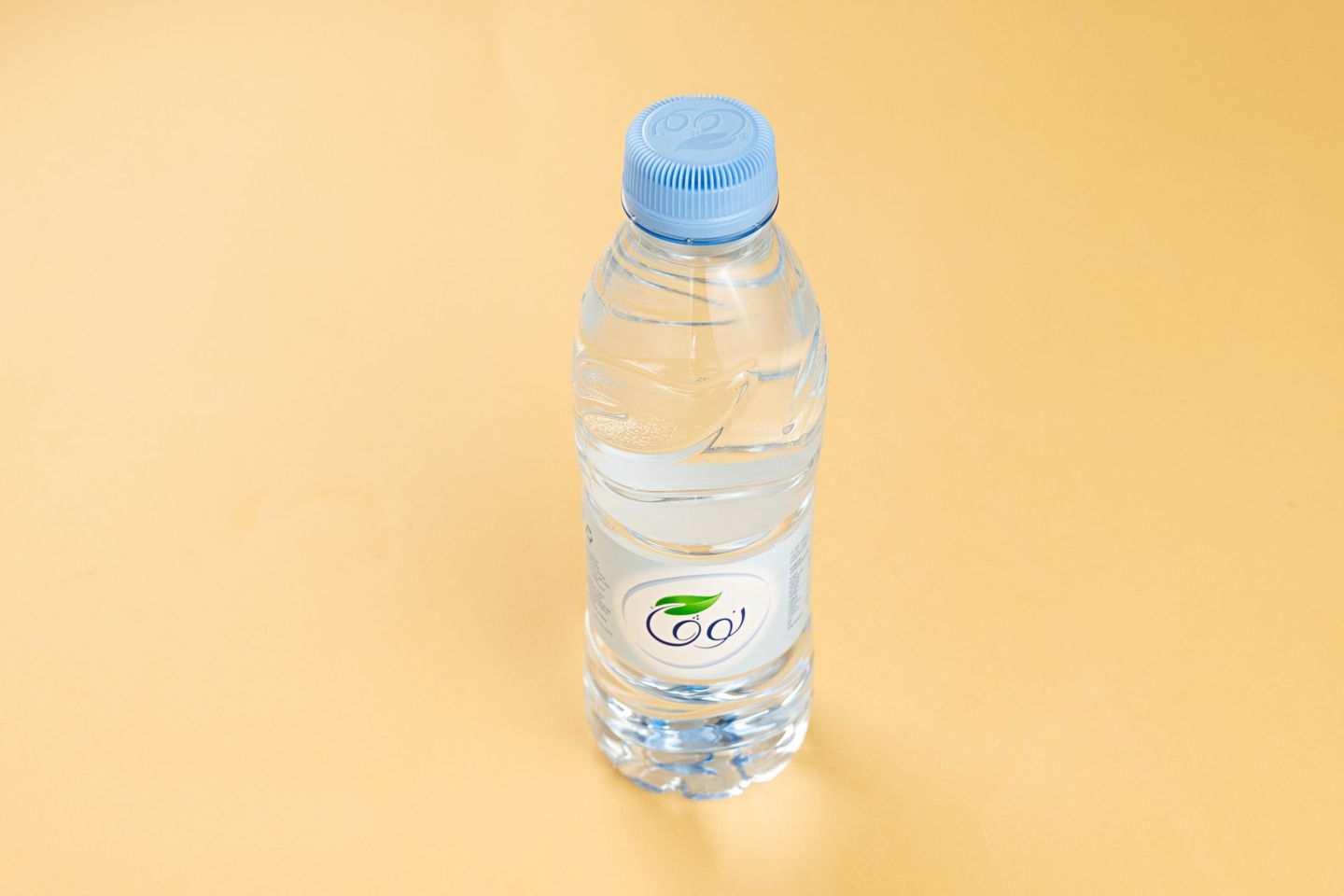 Water Koshary