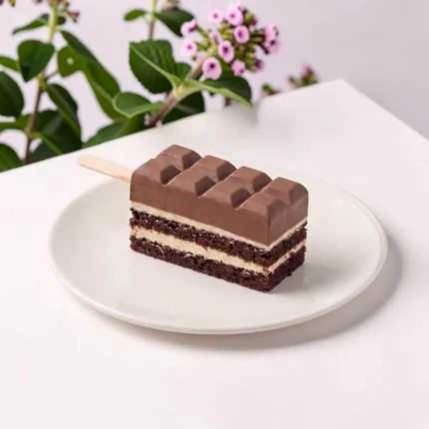 Vanilla Chocolate Ice Cream Cake