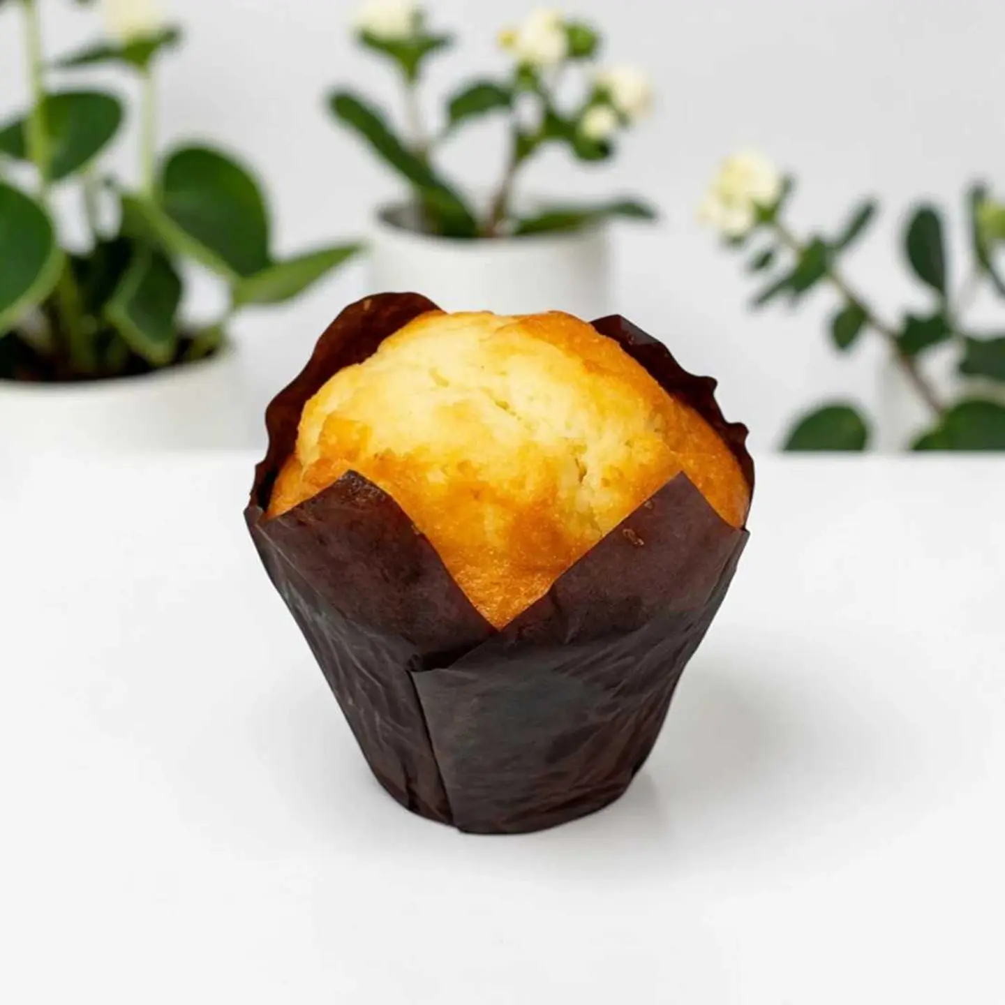 مافن الفانيليا