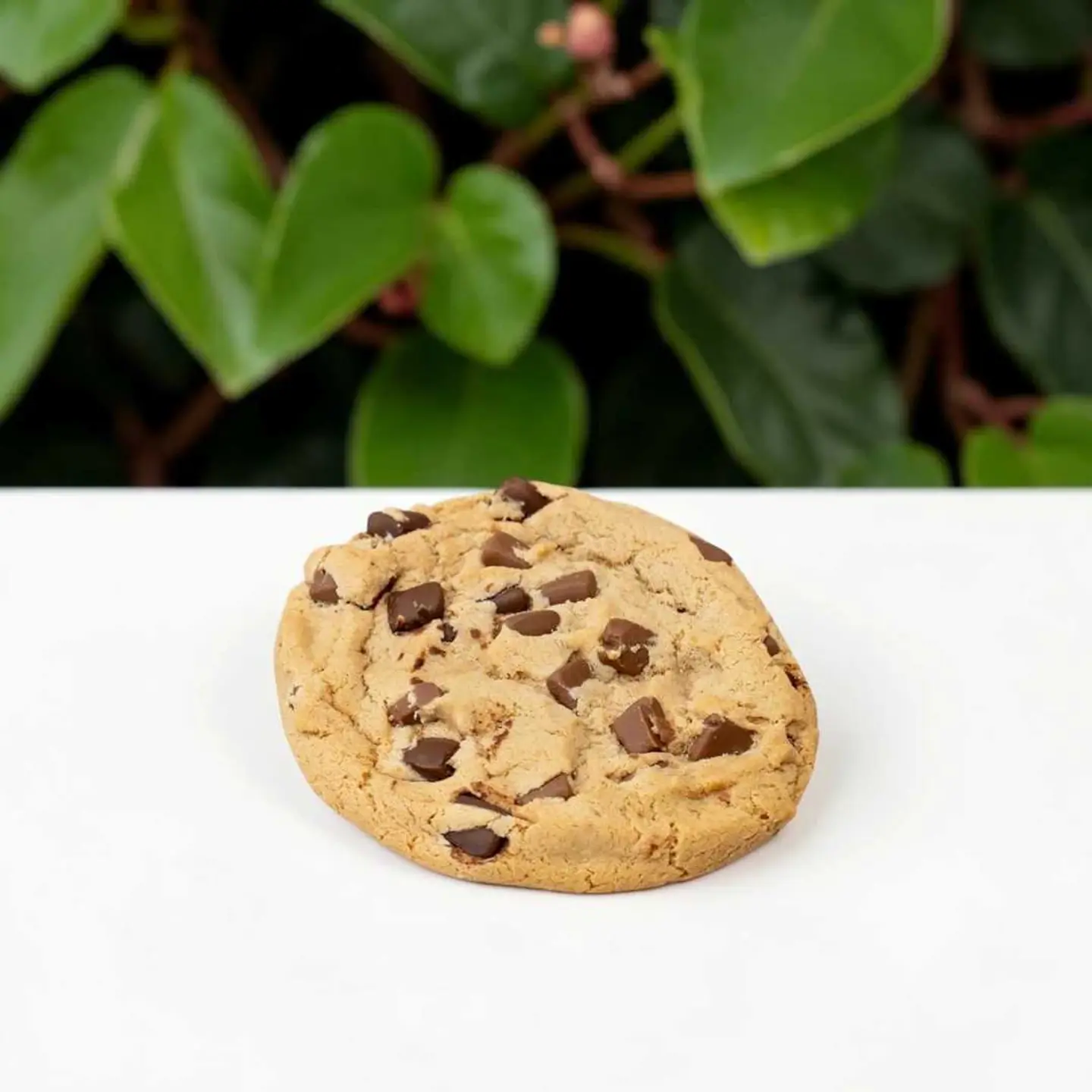 كوكيز فانيليا