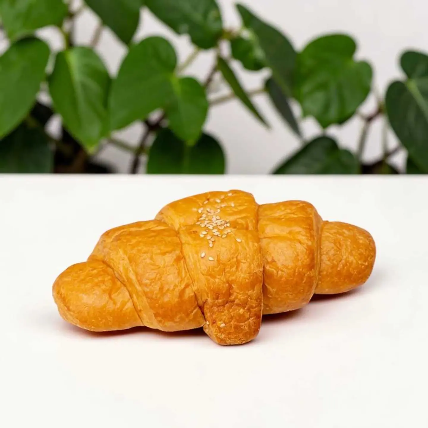 كرواسون جبنة بيضاء