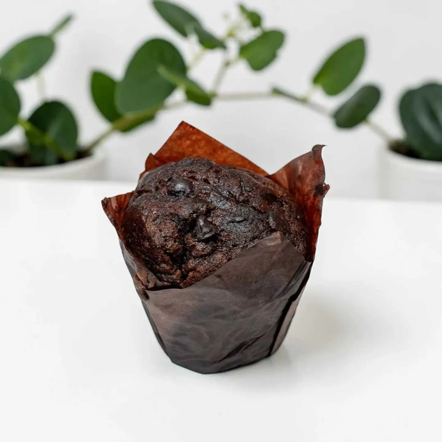 مافن الشوكولاتة