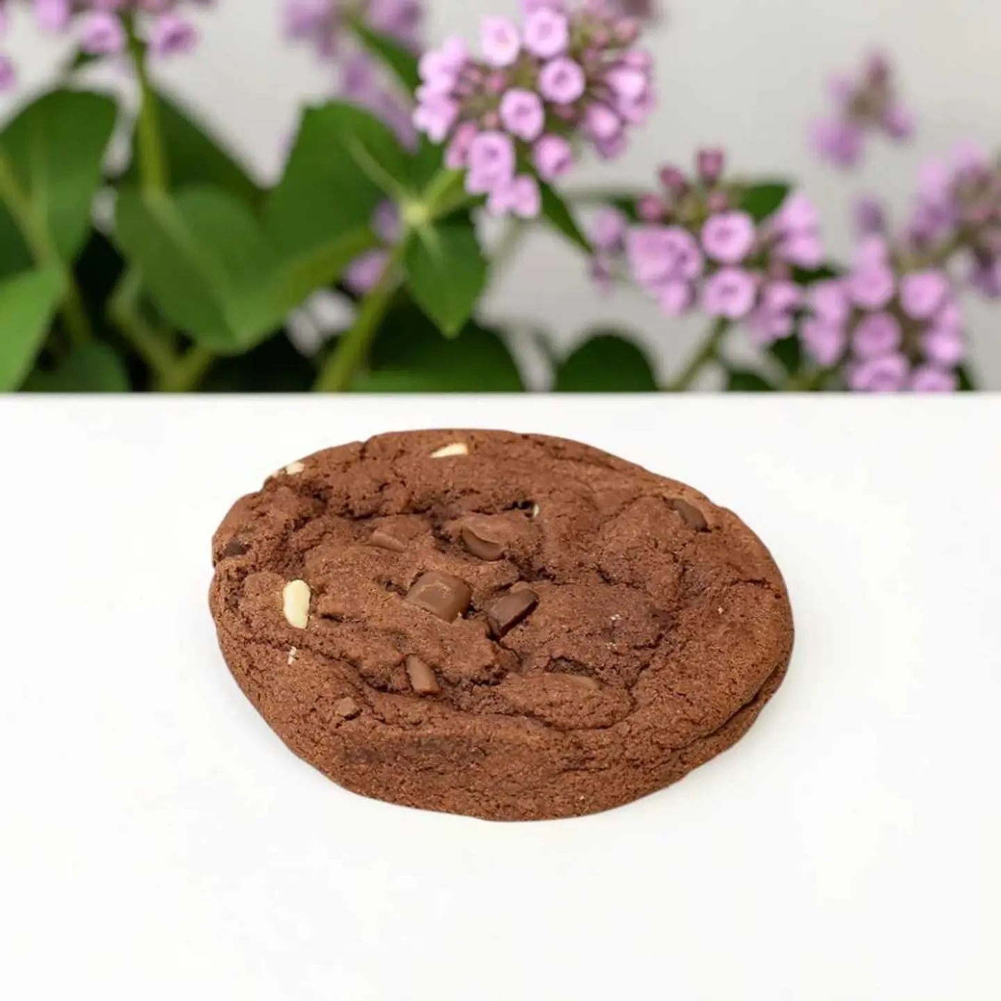 كوكيز شوكلاتة