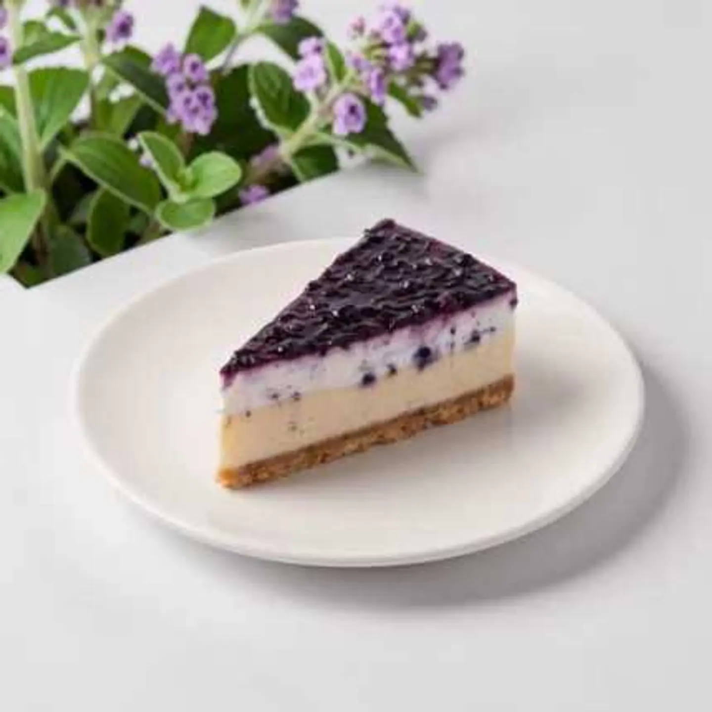 Blueberry Cheesecake