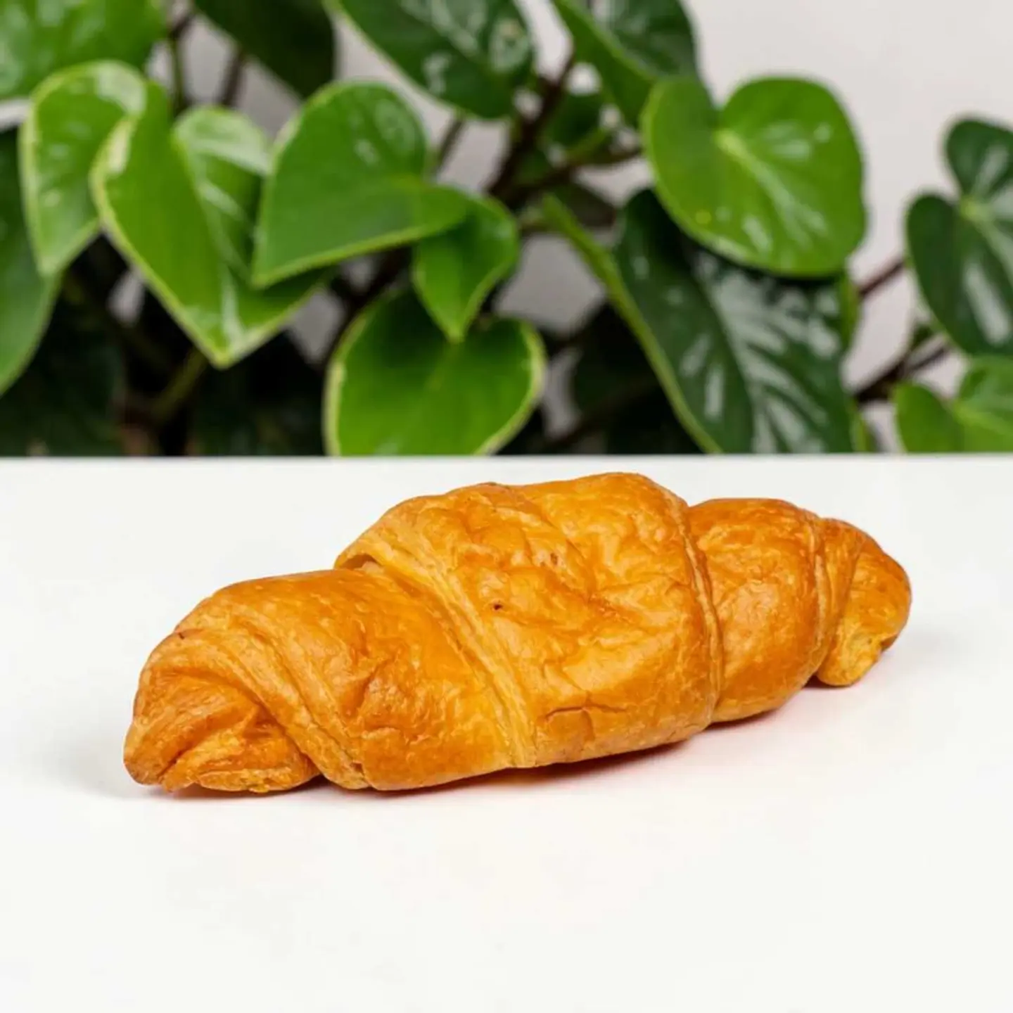 كرواسون جبنة صفراء