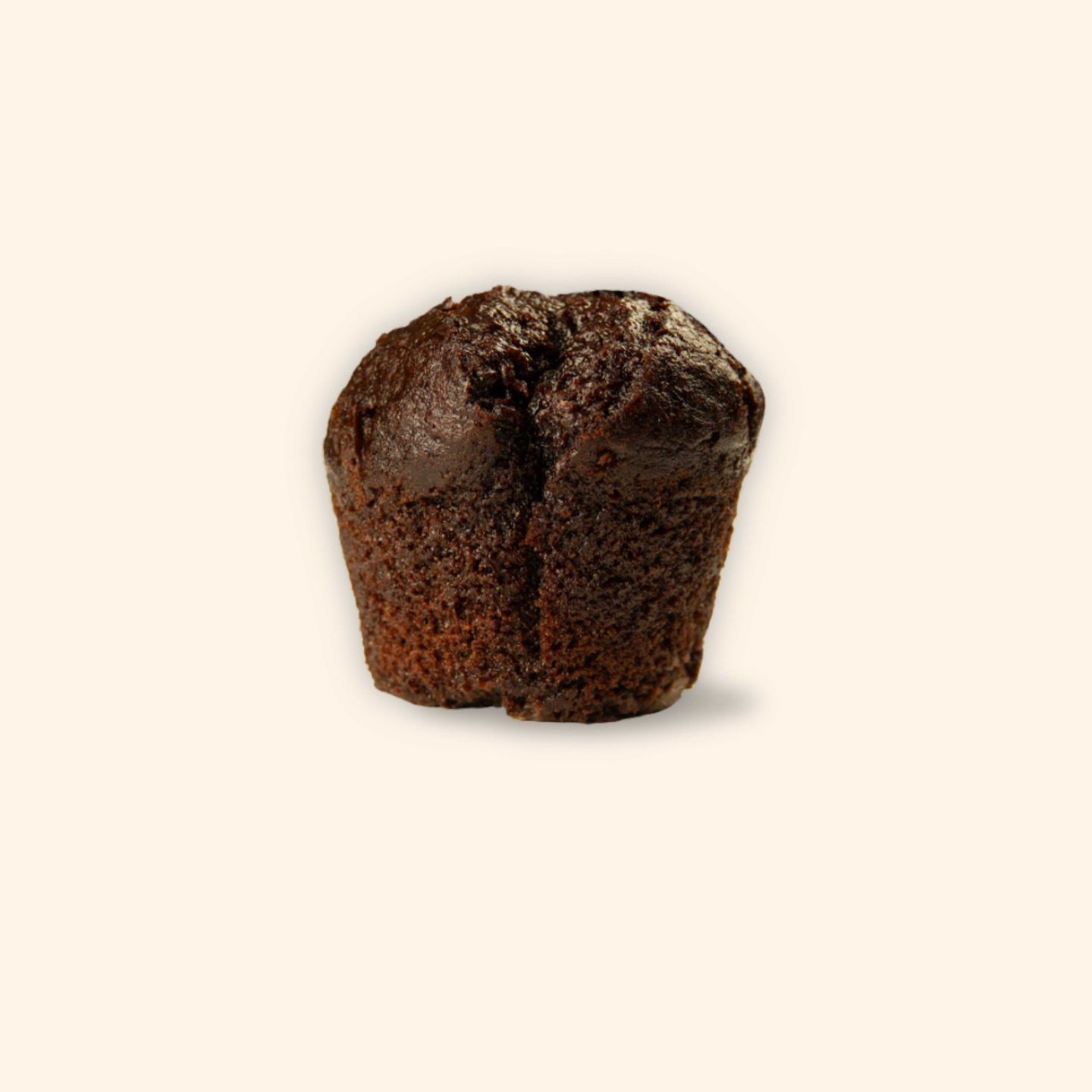Chocolate Muffin