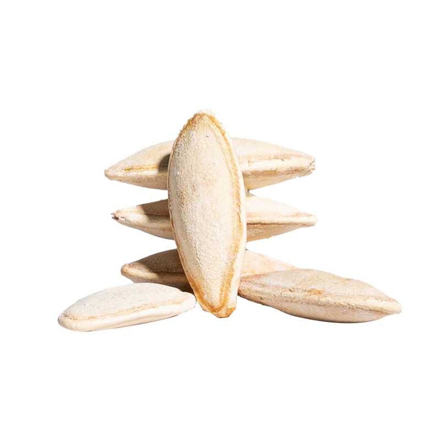 Melon Seeds