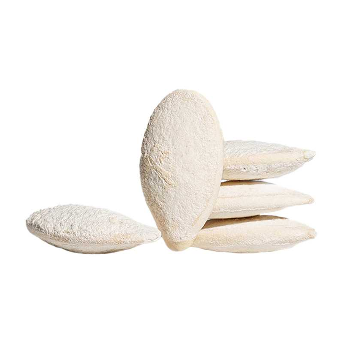 Pumpkin Seeds