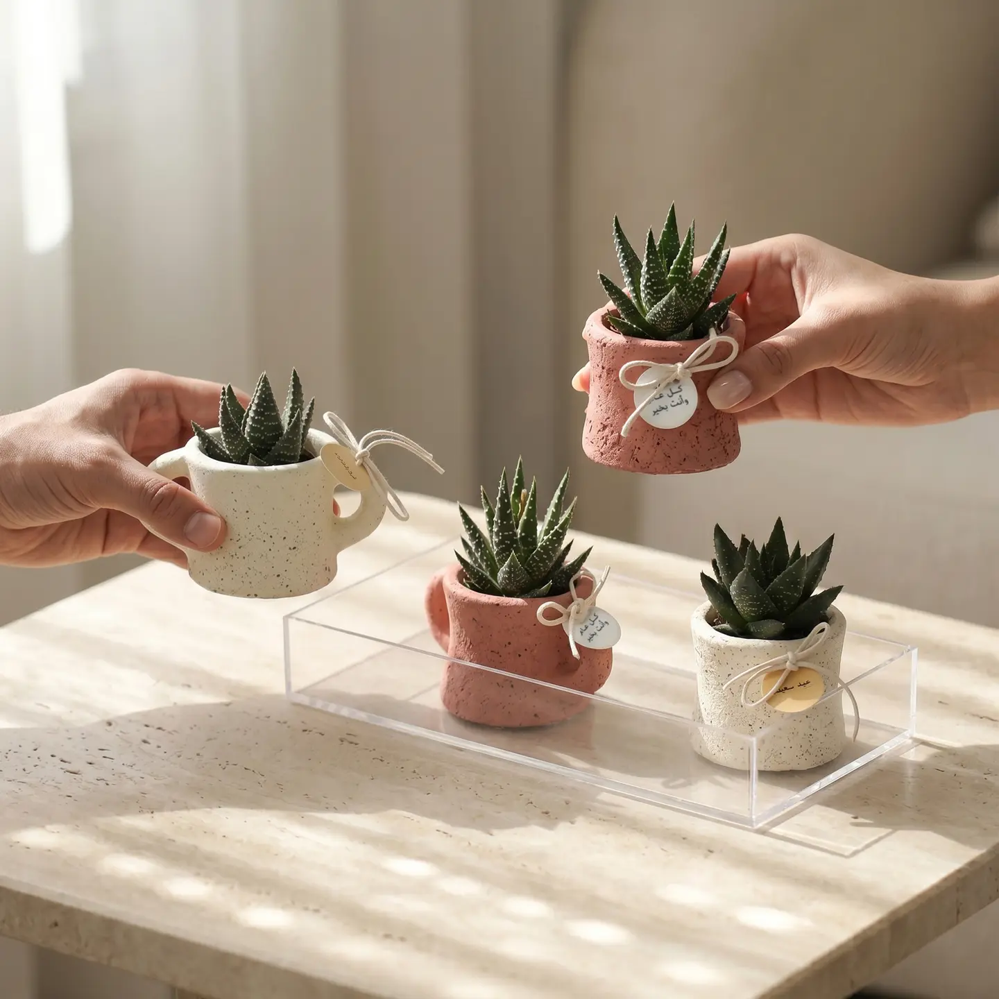 Cactus Giveaway Eid Al Adha 2026