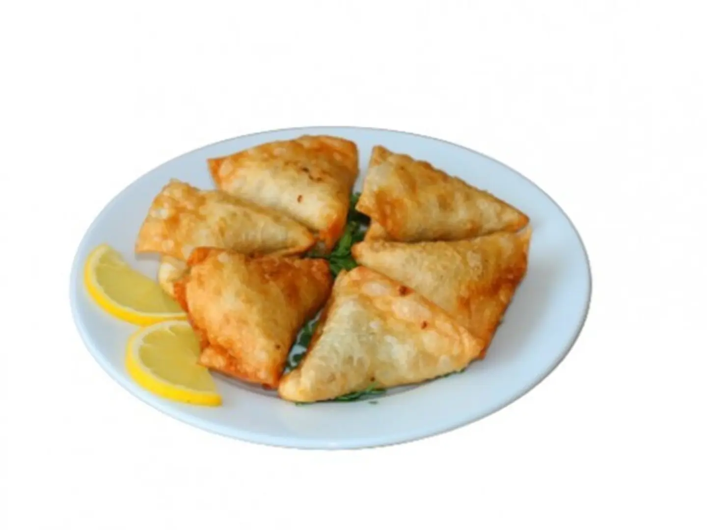Samosas Chicken