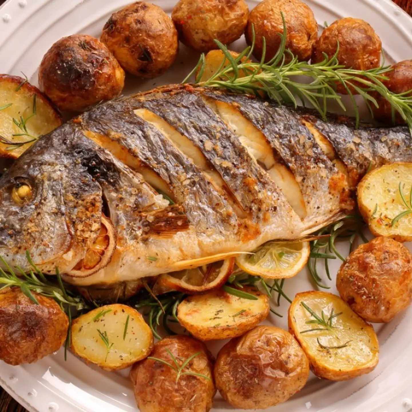 Grilled Fish Dish