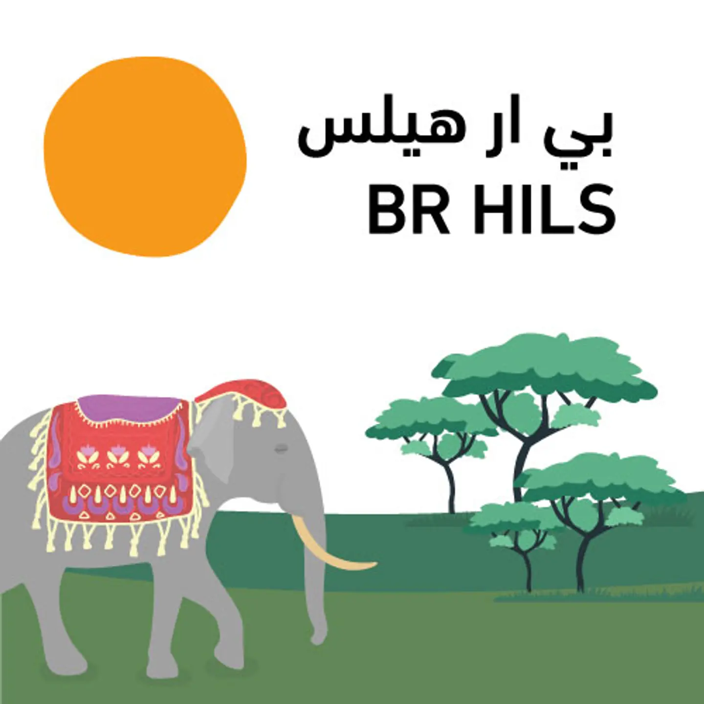(0.25 كيلو) بي ار هيلس لوت 2