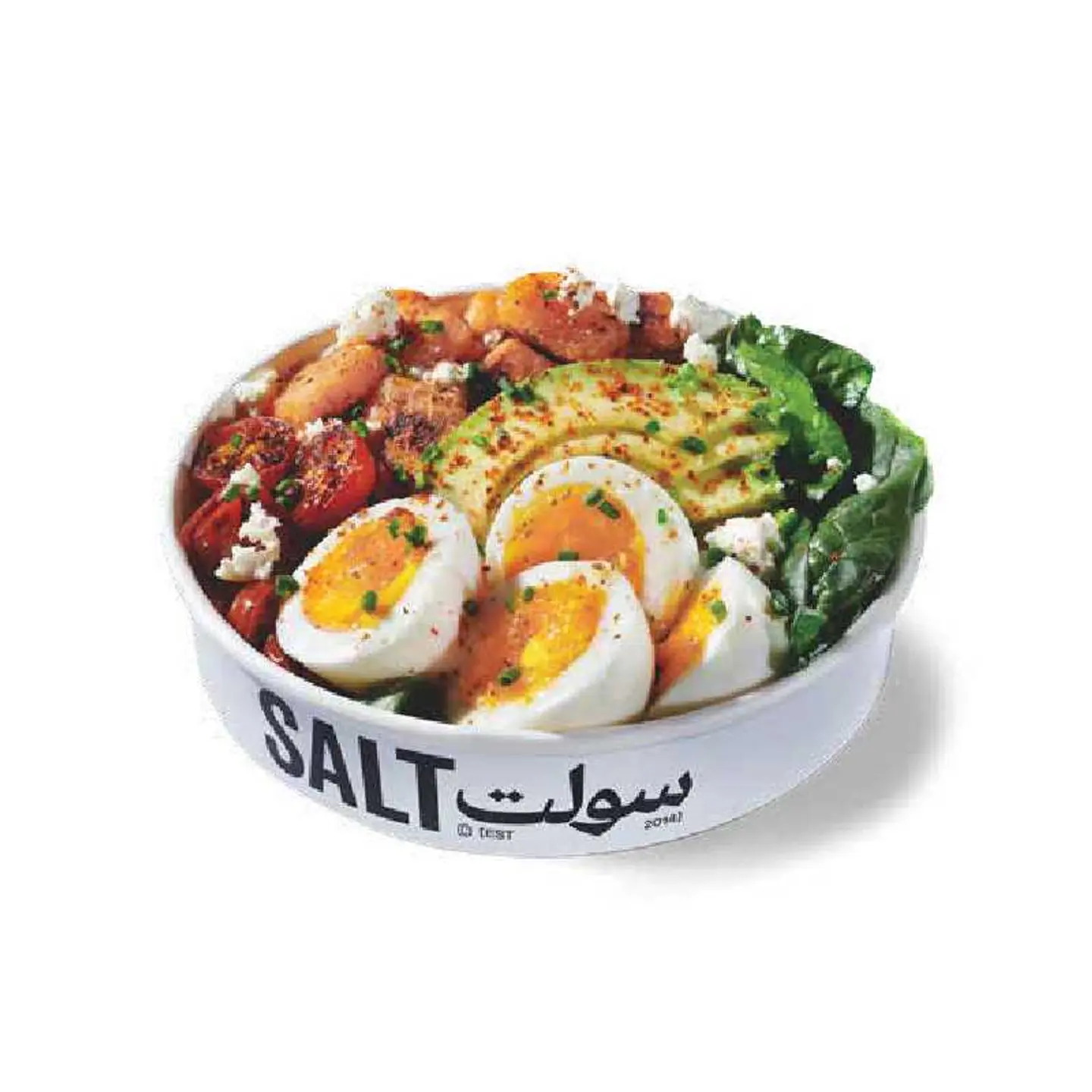 وعاء ساولت رايز