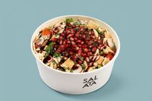 سلطة الفتوش
