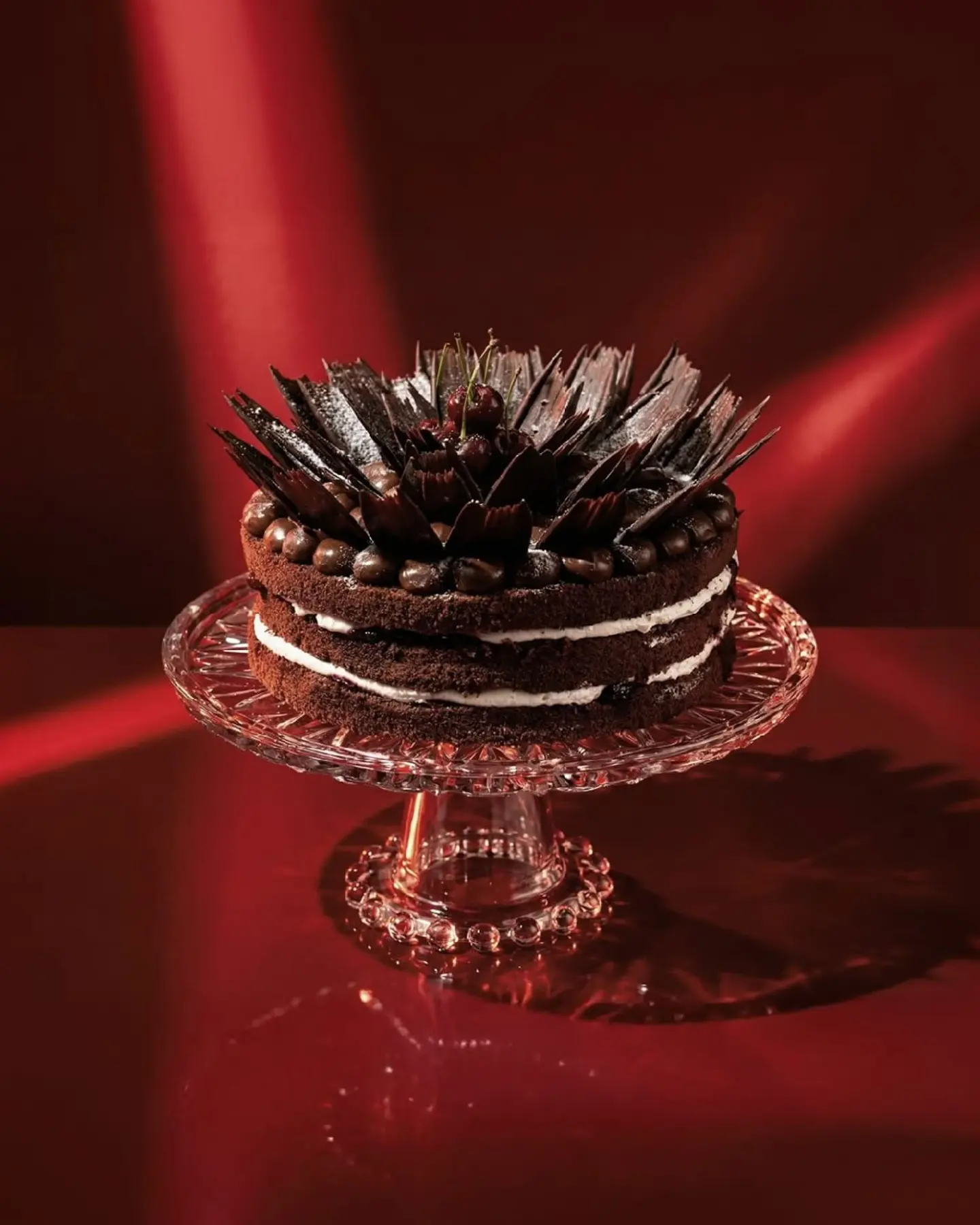 تشوكو فورست