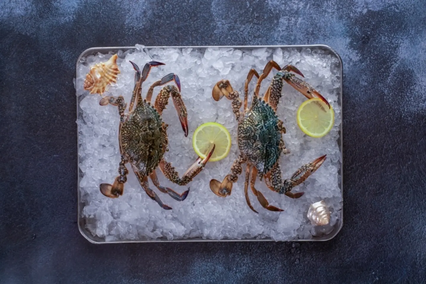 Crab