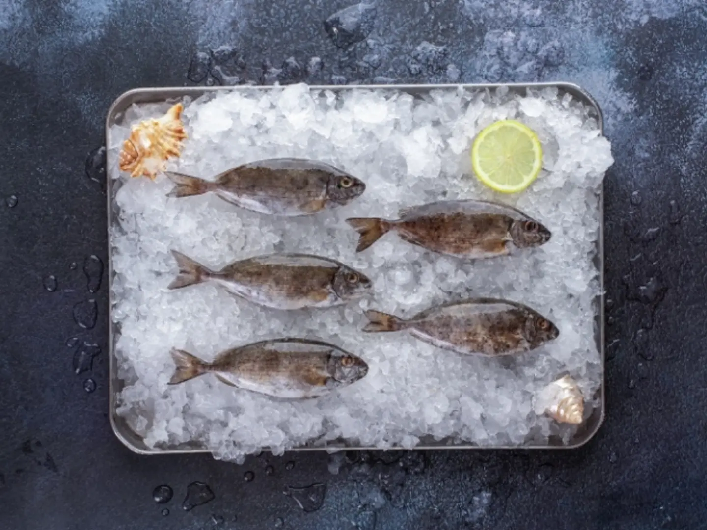 Fried Sigan Fish