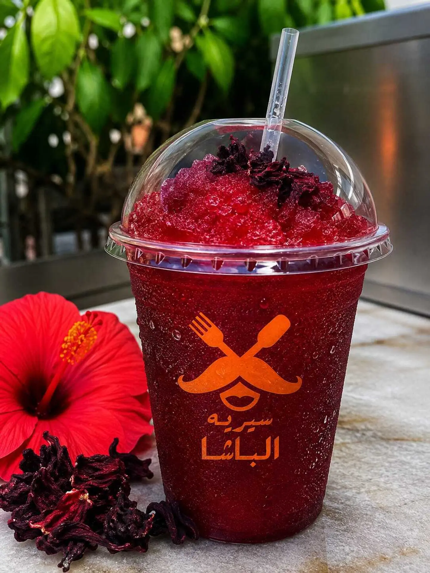 Hibiscus Slash