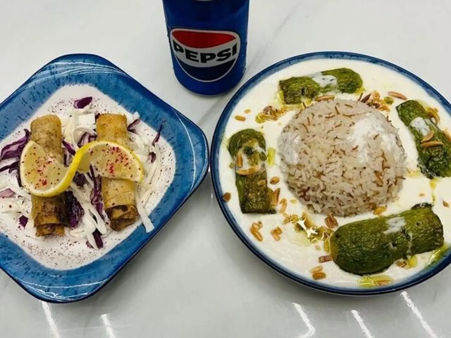 شيخ المحشي