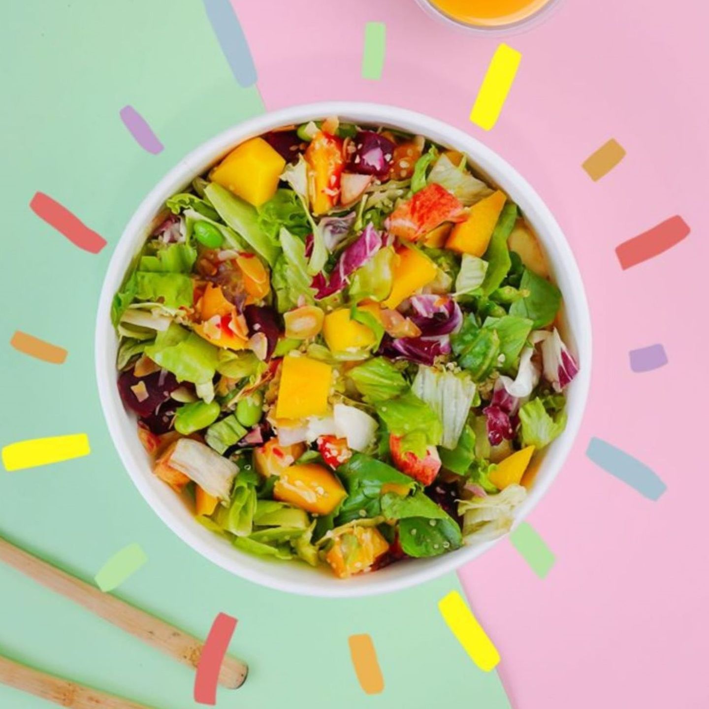 Rainbow Vegan Salad(Large)